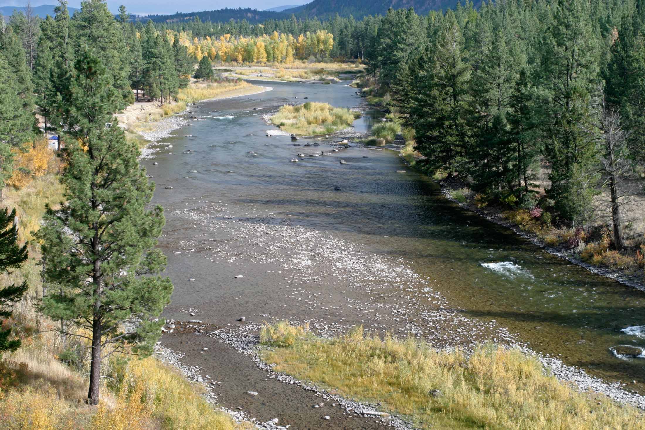 Casey Lewis, Flathead Basin Commision Member